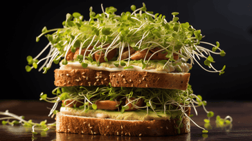 Veggie Club Sandwich with Avocado and Sprouts